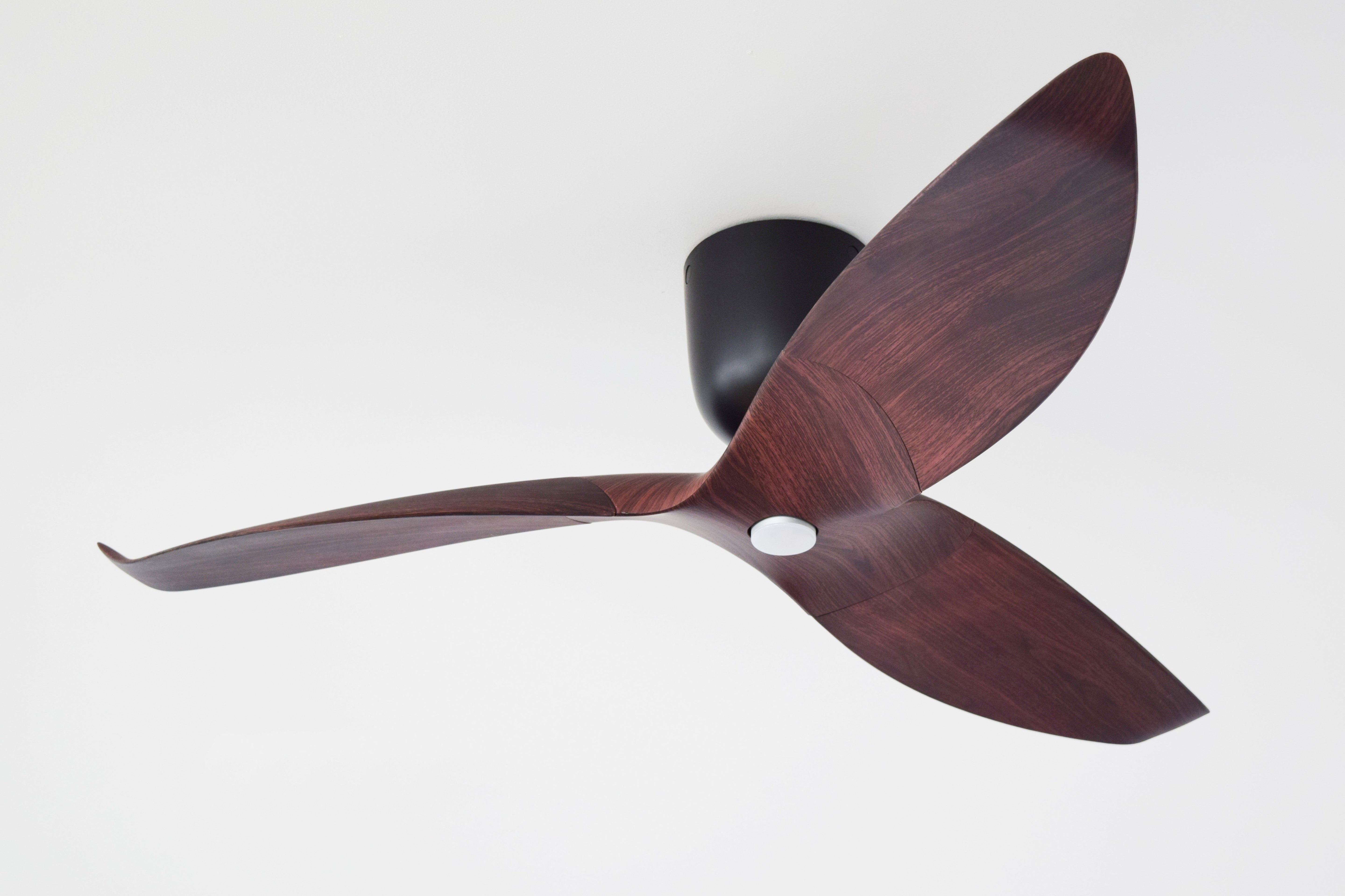 Ceiling Fans With Lights